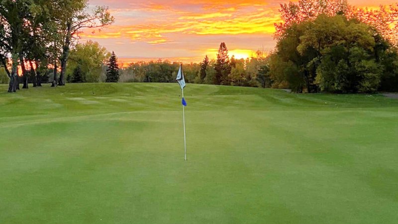 Montreal pesticide ban will expand to golf in 2025