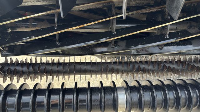 Photo-Apr-21-2026-11-41-09-AM