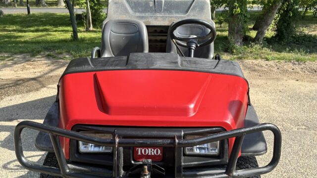 Toro-Cart-1
