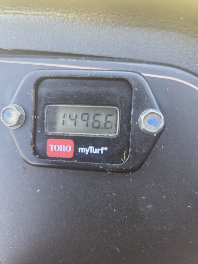 25034