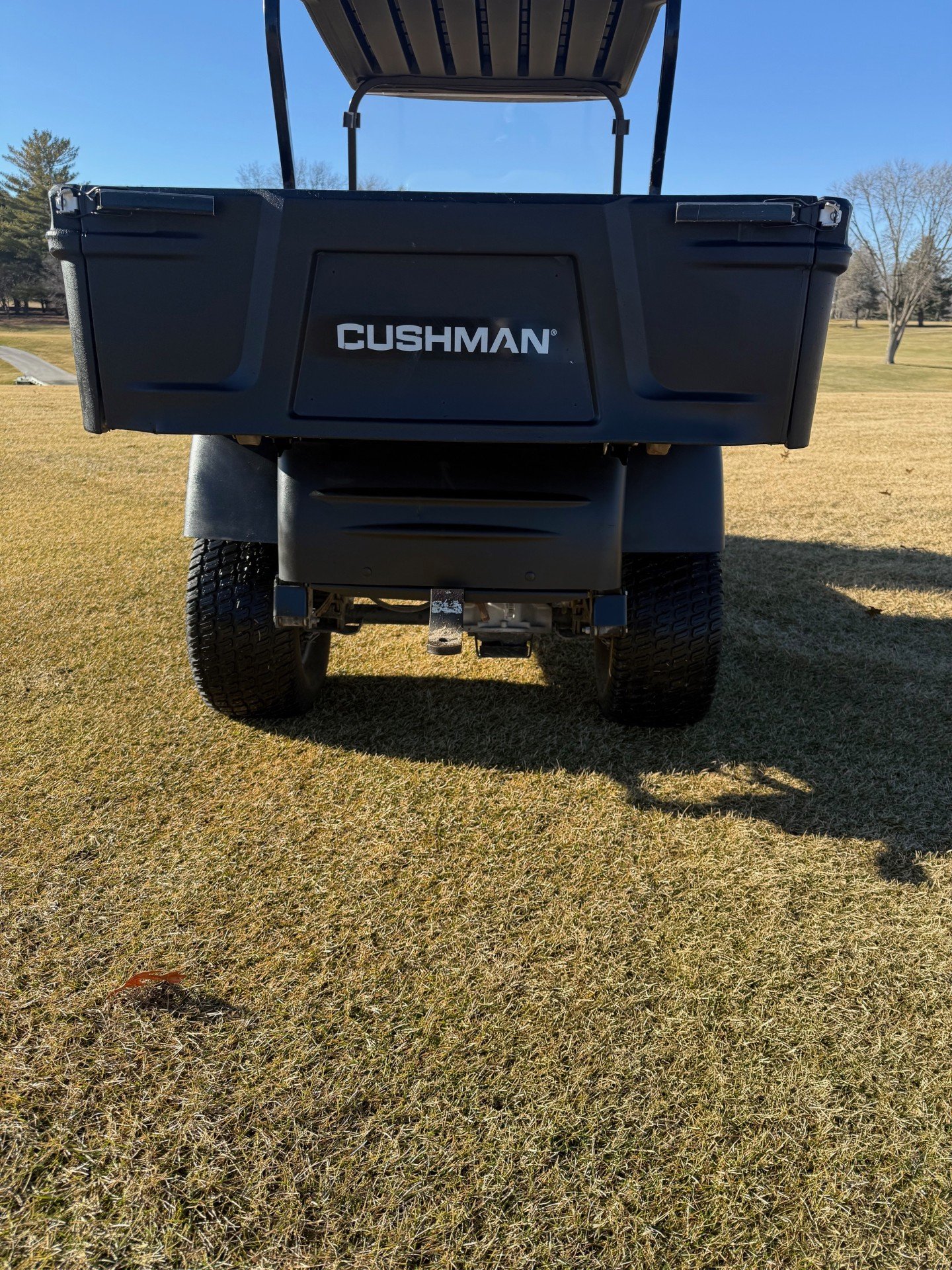 Cushman4.jpg.bb73d48bf9d82ab5d36ba8b9179688ee.jpg