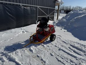 Tru Turf RS48-11D Spiker