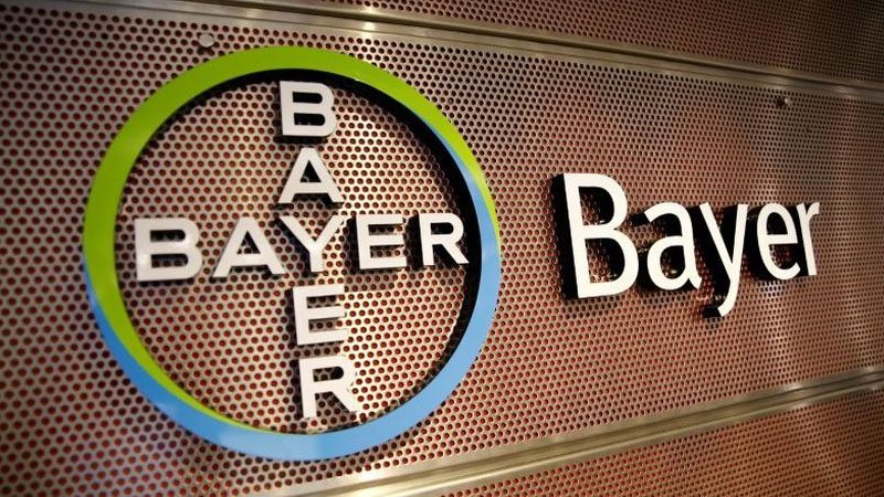 030222bayer.jpg