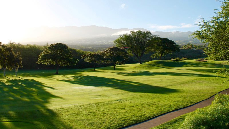 040623 fungicide.jpg