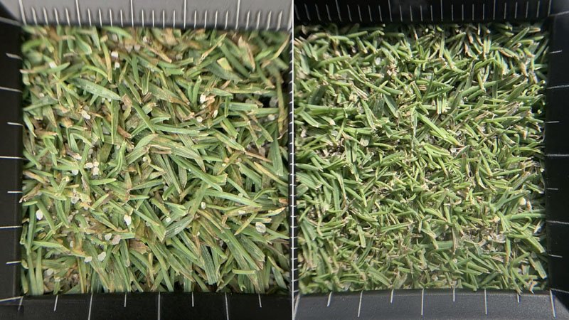 092823 predict 1.jpg