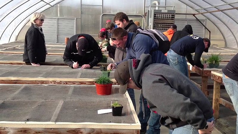 011124 scratch 3.jpg