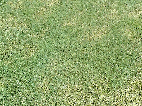 022824 velocity 3.jpg