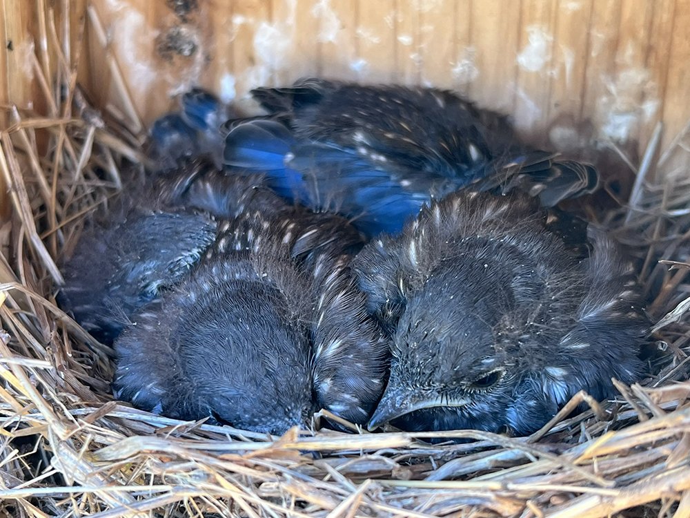 072924 aud int 4.jpg