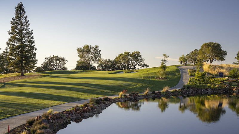 010224 hollinger 1.jpg