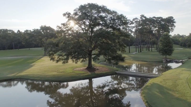 122225 georgia 3.jpg