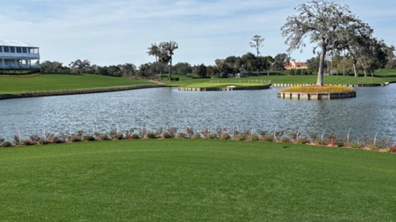ryan bain sawgrass 2.jpg