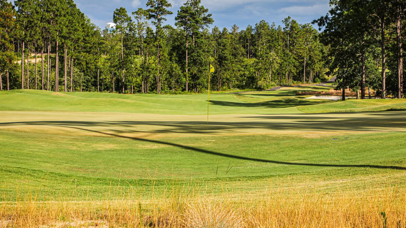 032626 carolinas.png